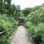 浄瑠璃寺1